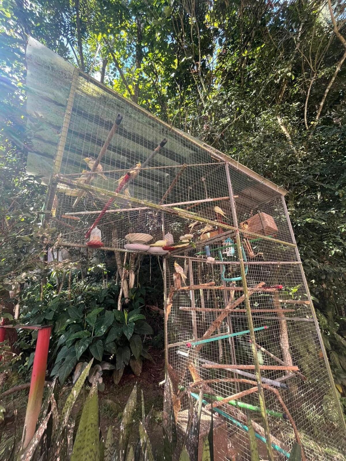Ape Do Salomao Daire Balneario Camboriu Dış mekan fotoğraf